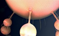 Mandlebulb 3D parameters by Ricky Jarnagin