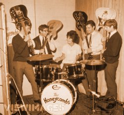 The Honeycombs